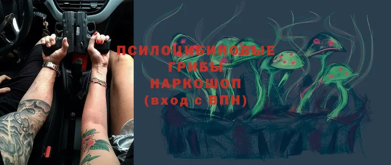 Галлюциногенные грибы MAGIC MUSHROOMS  Новоалександровск 